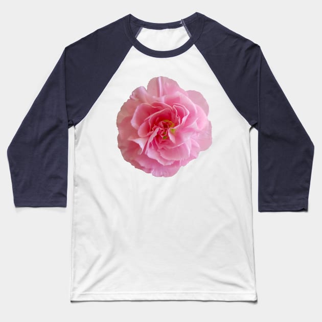 Pink Carnation Floral Photo Baseball T-Shirt by ellenhenryart